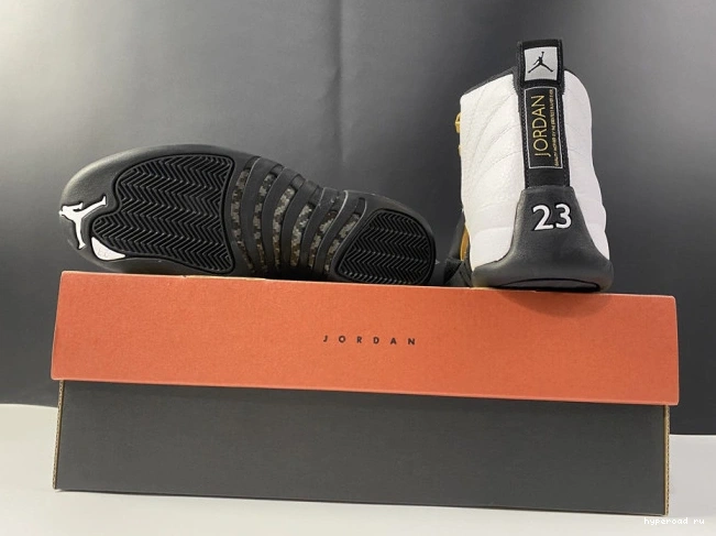 Royalty Jordan CT8013-170 Air 12 0526